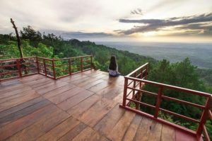 gardu pandang pinus asri
