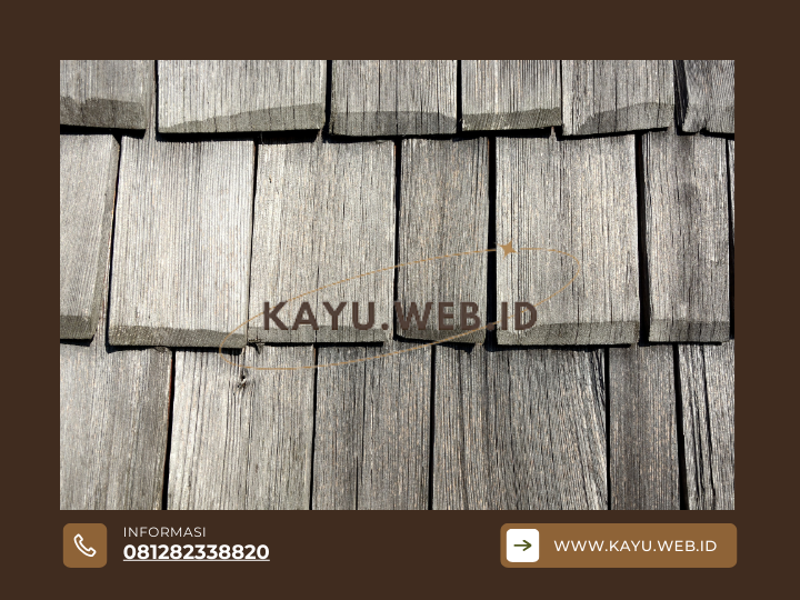 Jual Kayu Harga Terbaik Kayu Jakarta di Situs Kayu.web.id